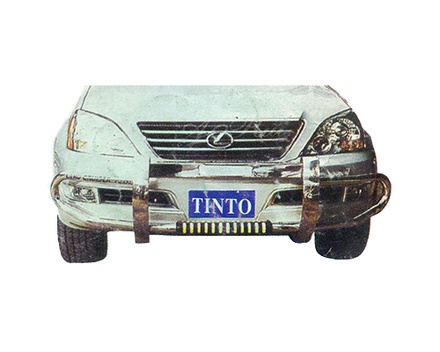 Stainless Steel Grille Guard for Toyota Lexus LX450 for year 2004 - 2006